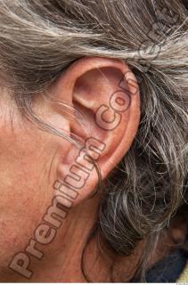 Ear texture of street references 330 0001